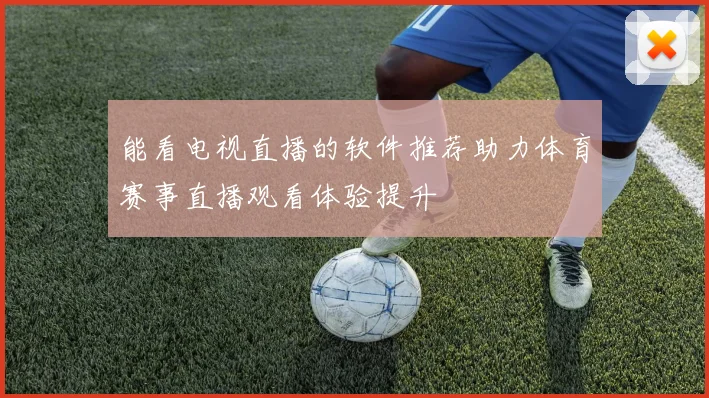 能看电视直播的软件推荐助力体育赛事直播观看体验提升